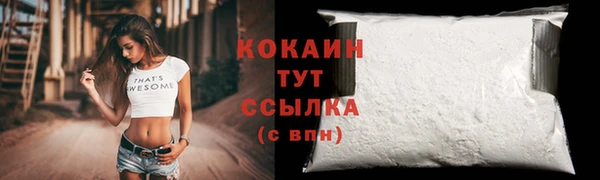 ГАЛЛЮЦИНОГЕННЫЕ ГРИБЫ Горно-Алтайск