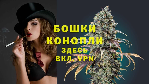 гидропоника Гусиноозёрск