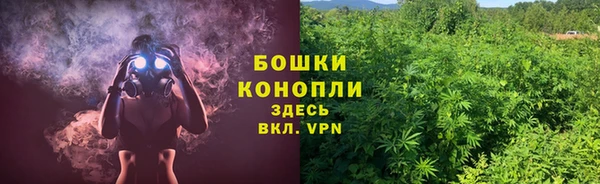 бутират Горняк